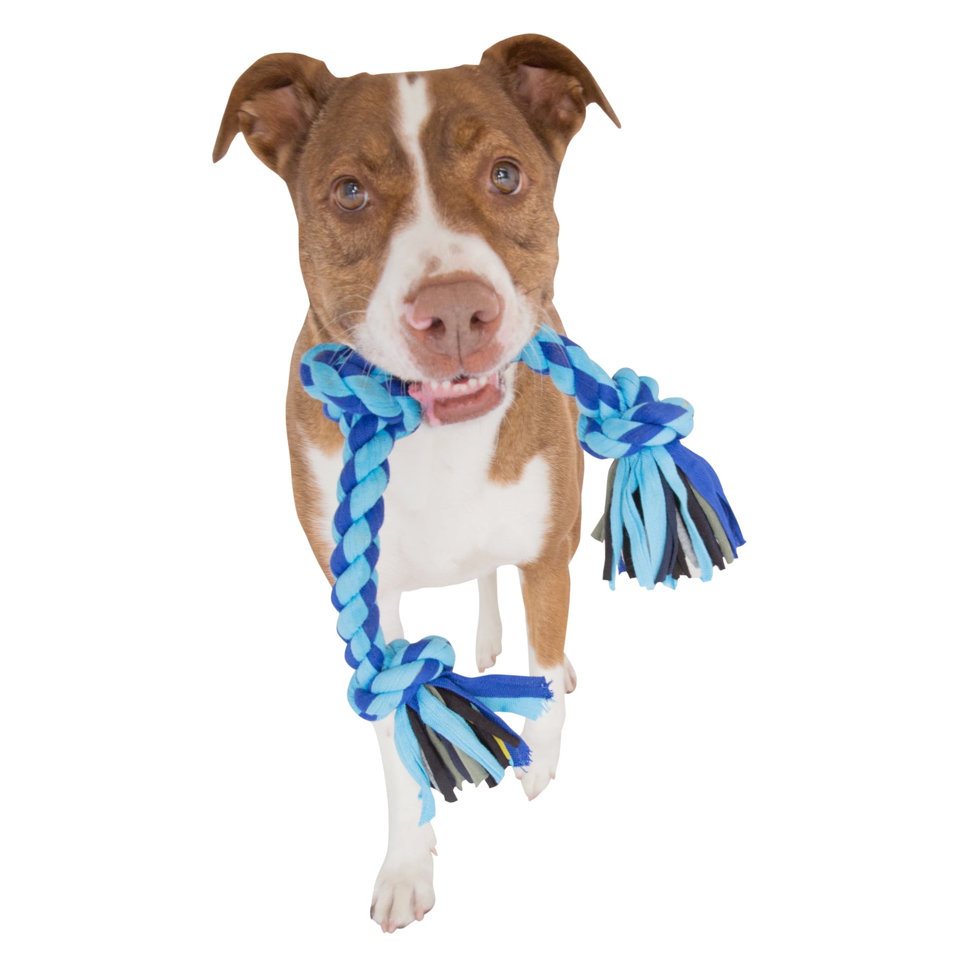 Flossy Chews Cloth 4 Knot Tug Rope Dog Toy, Large, 27", Assorted Colors