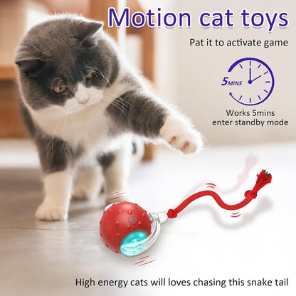 Interactive Cat Toys Ball for Indoor Cats Fast Rolling on Carpet, Chirping & Motion Activate Cat Toys (Red)