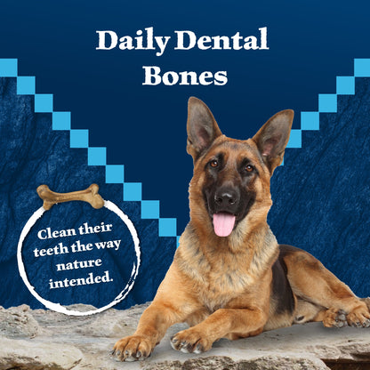 Wilderness Wild Bones Dental Chews Dog Treats, Mini, 10-Oz Bag