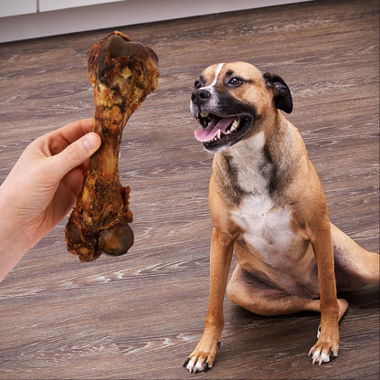 Natural Pork Femur Chew for Dogs, 9.28 Oz